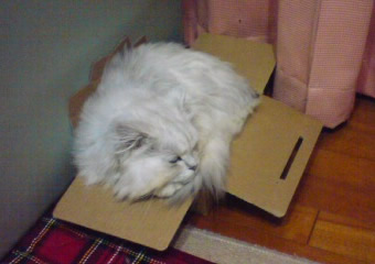 入らないんですけど