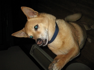 はじめまして!!