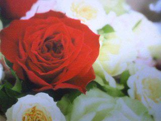 ★アロマテラピークリスマスレッスン★