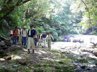◆スポレクみやざき２００９協賛事業「森林セラピー・ノルディックウォーキング大会 in 北郷」♪