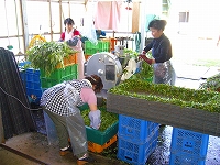 株式会社 ドライアップジャパン