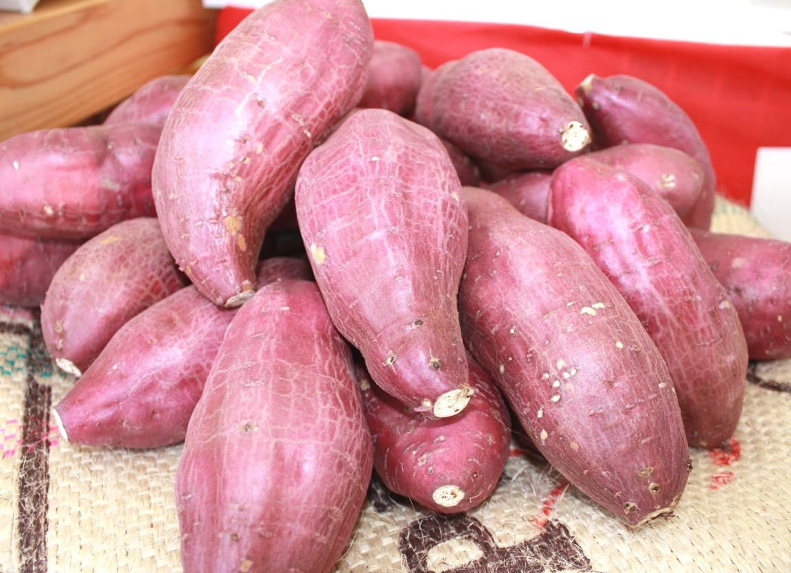 株式会社 ドライアップジャパン